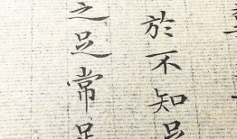 道德经视频,探寻古老哲学的现代启示